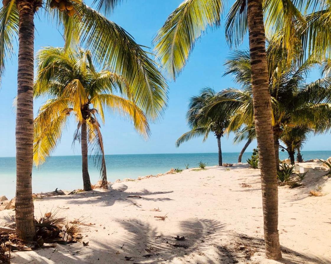Corazon Mexicano Holbox 외부 사진